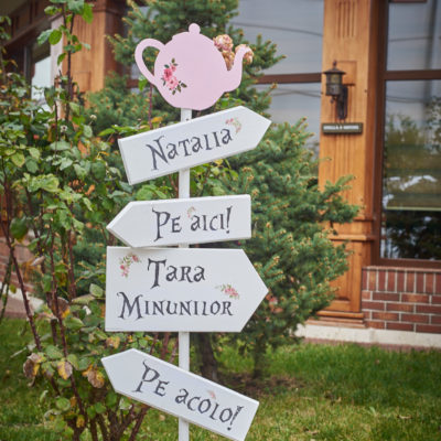 Alice-in-tara-minunilor-27