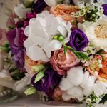 Alina-Madalin-review Alina-Madalin-review