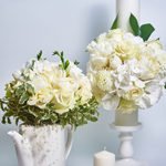 Catalina-Razvan-review Catalina-Razvan-review